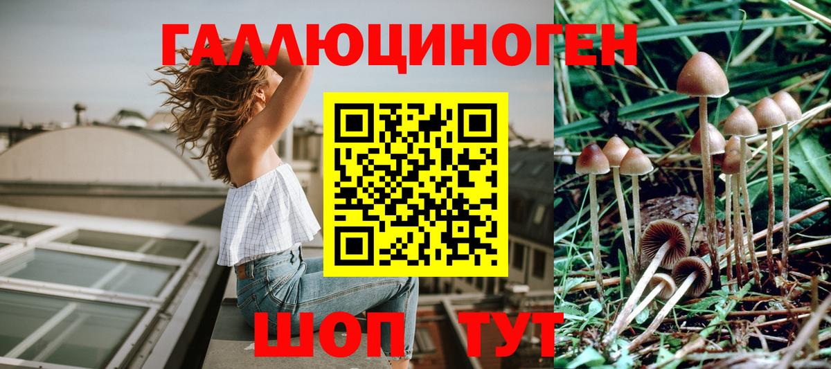Псилоцибиновые грибы мухоморы Лениногорск