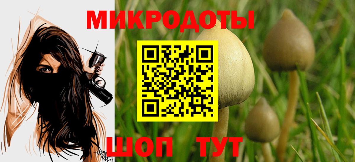 Лениногорск  Псилоцибиновые грибы мухоморы  Вход с VPN  Псилоцибиновые грибы Psilocybine cubensis 